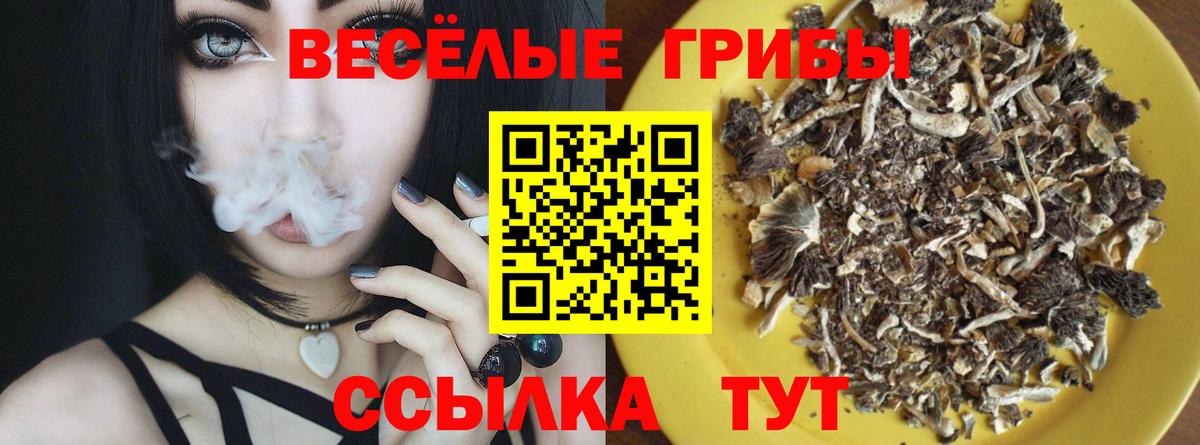 Галлюциногенные грибы Psilocybe Чебоксары