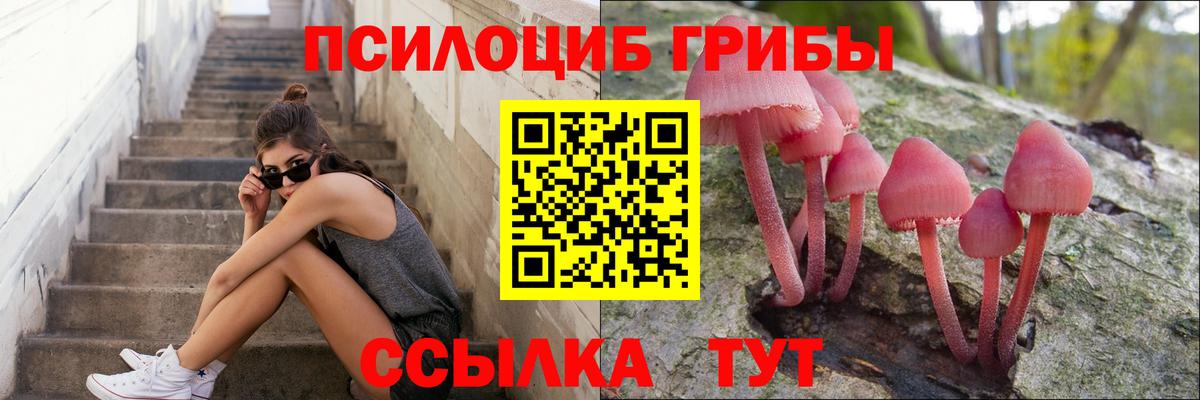 Псилоцибиновые грибы мухоморы  Вход с VPN  наркота  Галлюциногенные грибы Cubensis  Чебоксары 